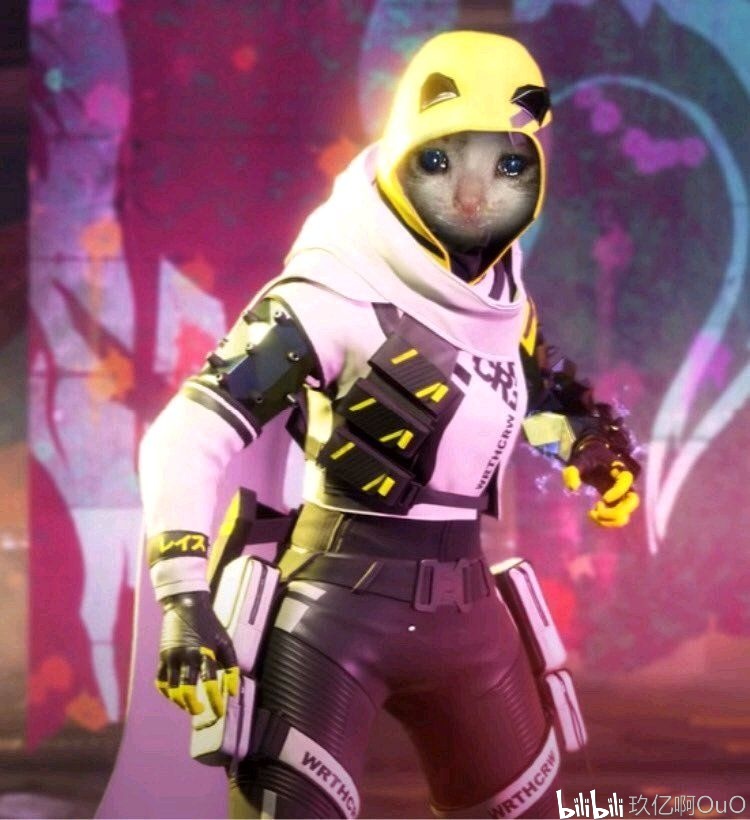 Vitality教练：于我而言，NAVI是世界上最好的队伍